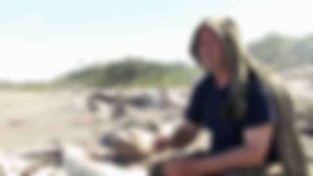 Animal Planet tel qu’il est diffusé en ce moment