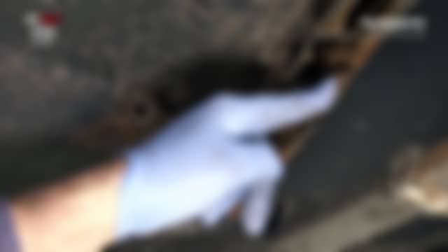 AUTOMOTO tal como está en el aire ahora mismo