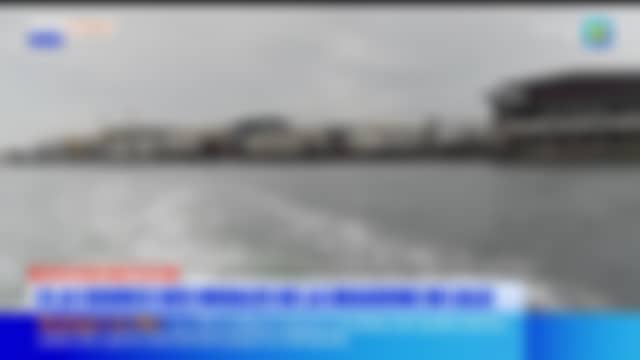 BFM Grand Littoral tel qu’il est diffusé en ce moment
