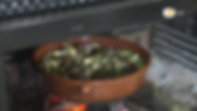 CANAL COCINA as it is on air right now