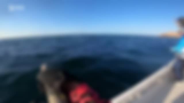 Iberalia Original tal como está en el aire ahora mismo