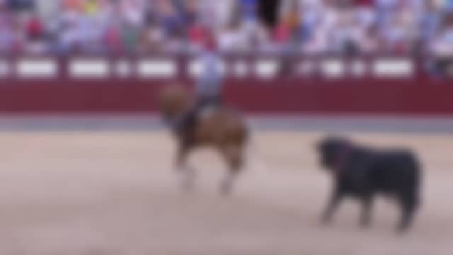 OneToro Tv as it is on air right now