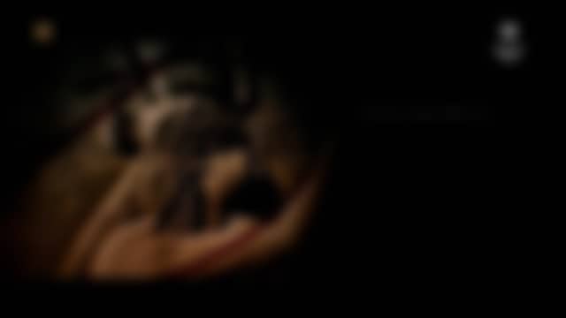 POLSAT FILM tel qu’il est diffusé en ce moment