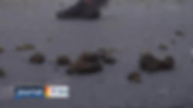 Regio TV Stuttgart tel qu’il est diffusé en ce moment