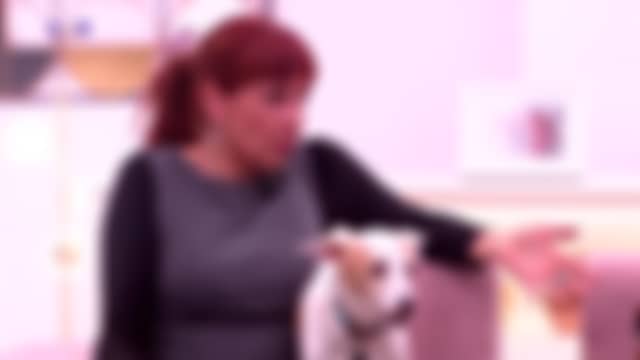 SIC Replay tal como está en el aire ahora mismo