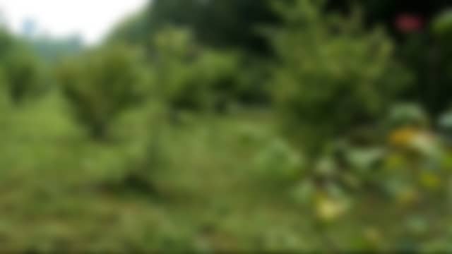 Trwam Tv tal como está no ar agora