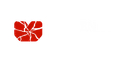 Crimen & Historia