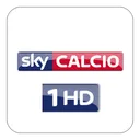 SKY Sport 251