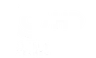 COMEDY CENTRAL