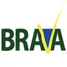 Brava