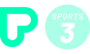 PLAY SPORTS 3