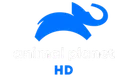 Animal Planet