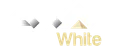 AXN White