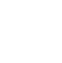 Calle 13