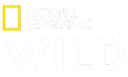 NAT GEO WILD