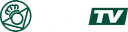 REAL BETIS FC